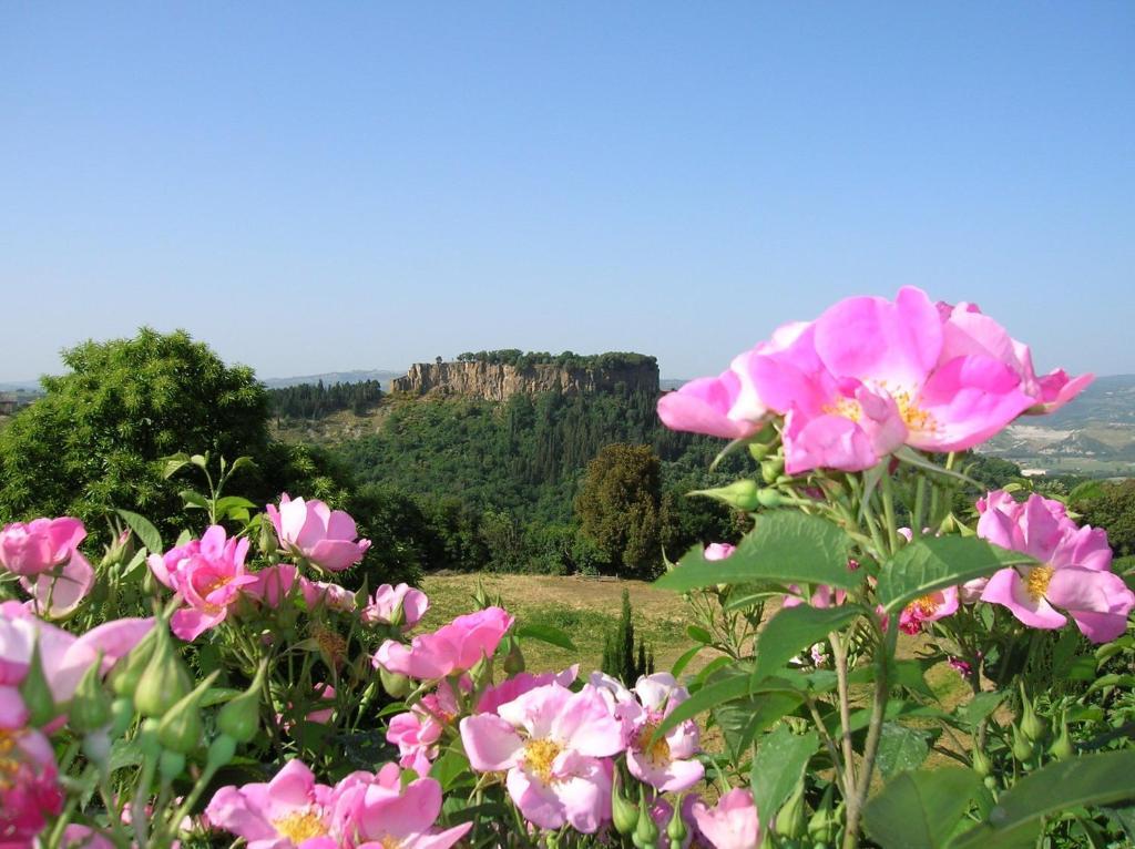 La Chiusetta Villa Orvieto Bagian luar foto